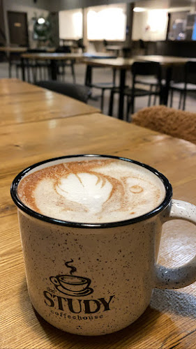 The Study - Thunder Bay