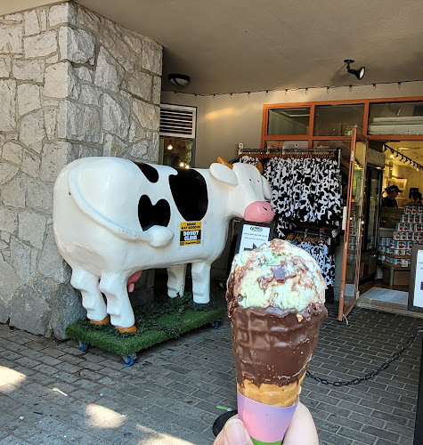 4314 Main St Unit 1, Whistler, BC V8E 1A8