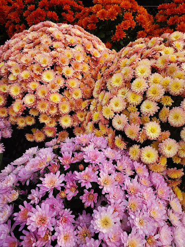 Opinii despre Pearson Fruit & Vegetables în Toronto - Hospitality and gastronomy