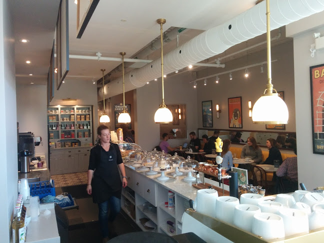 Comentarii opinii despre Balzac's Waterloo