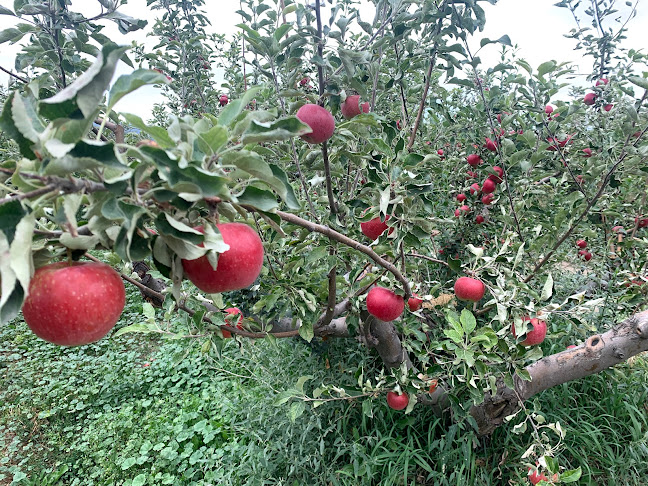 Westbank Corner Fruit Stall - West Kelowna
