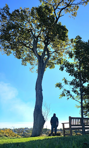 The Baratie - Reversing Falls Restaurant at Stonehammer UNESCO Global Geopark - Saint John