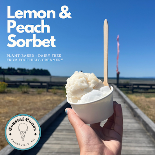 Coastal Cones Beachfront Ice Cream - Parksville