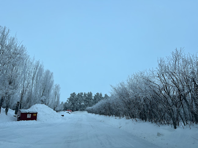 Opinii despre The Berry Barn în Saskatoon - Hospitality and gastronomy