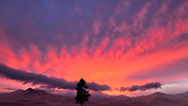 Ricky's All Day Grill - Parksville