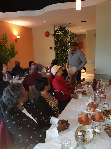 Comentarii opinii despre The Apricot Tree Cafe