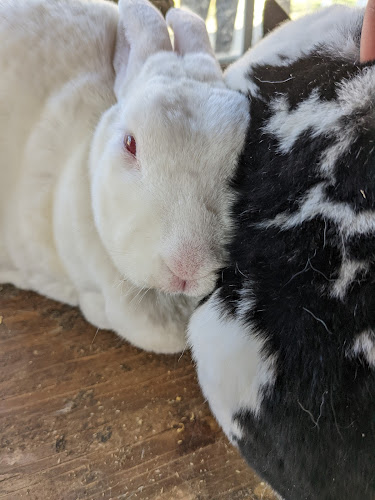 3443 Benvoulin Rd, Kelowna, BC V1W 4M5