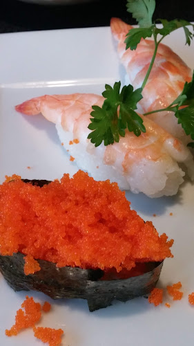 Comentarii opinii despre Midori Japanese Restaurant