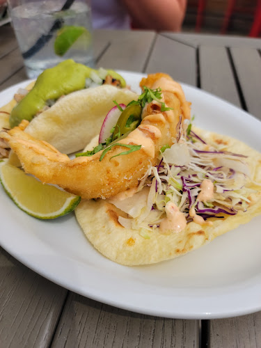 Comentarii opinii despre El Camino