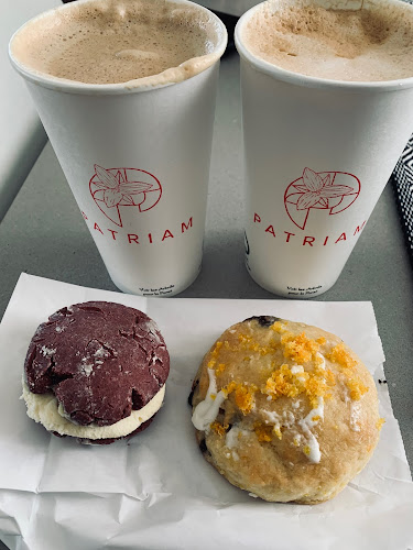 Comentarii opinii despre Patriam