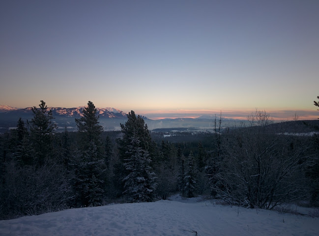 Opinii despre The Wandering Bison în Whitehorse - Hospitality and gastronomy