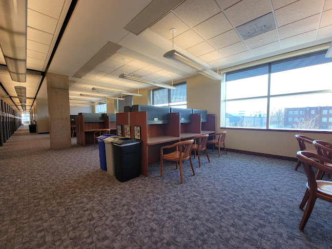 The Library Cafe - Hospitality and gastronomy