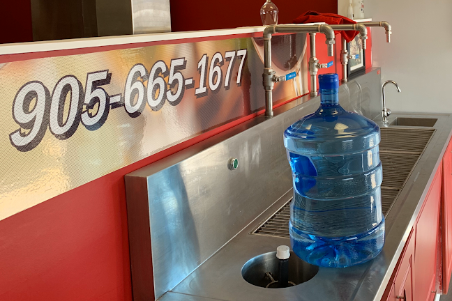 Comentarii opinii despre Vintner’s Cellar Whitby