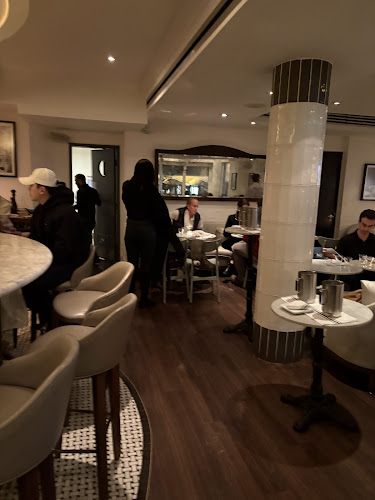 Comentarii opinii despre Sassafraz