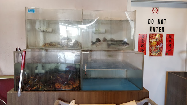 Comentarii opinii despre Tremendous Chinese Restaurant