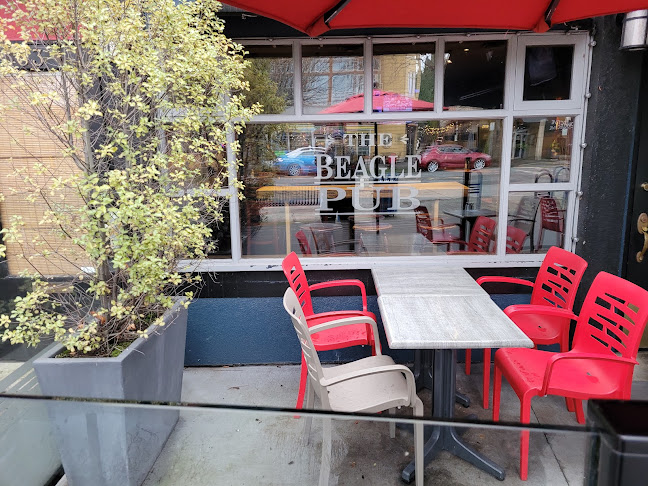 Beagle Pub - Hospitality and gastronomy