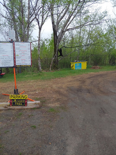 302 Douglas St, Sudbury, ON P3C 1G8