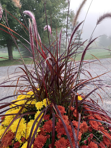 Comentarii opinii despre Josmar Acres