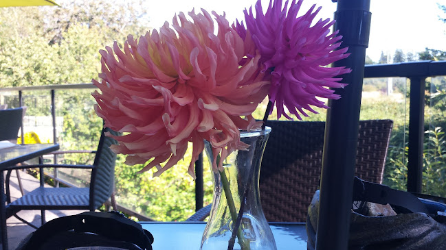 The Nest Cafe - Victoria