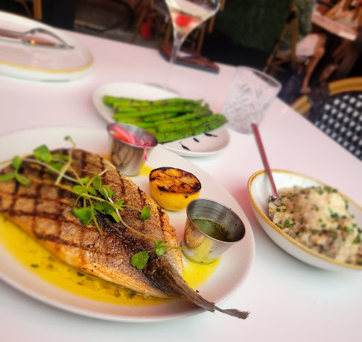 Buvette Restaurant and Wine Bar - Hospitality and gastronomy