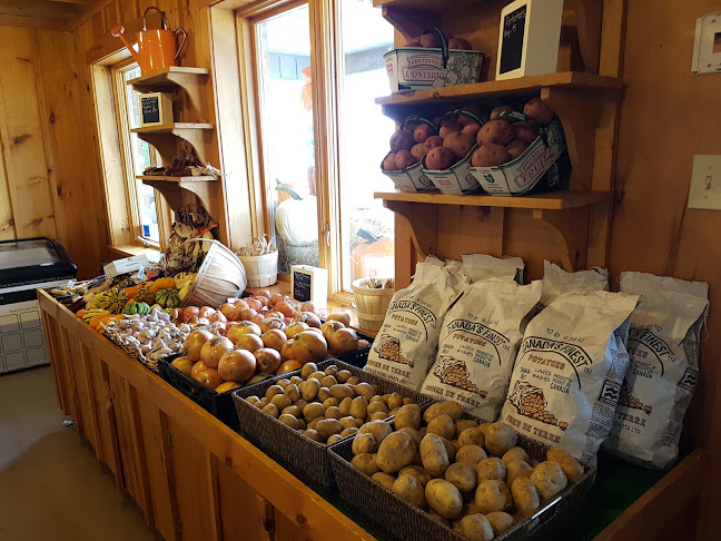 11143 Highbury Ave S, St Thomas, ON N5P 3T3