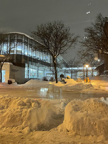 Across from Opera House, 27 Mississaga St W, Orillia, ON L3V 3A5