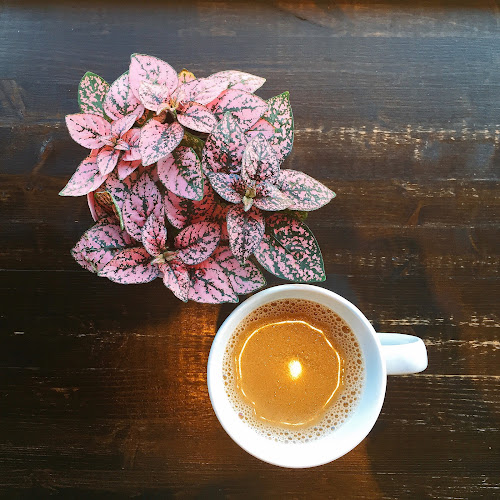 Plant Matter Cafe - Hospitality and gastronomy