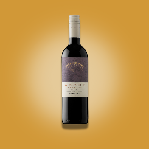 Duke of York - Hospitality and gastronomy