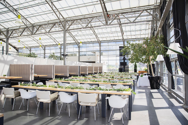 Glasshouse Kitchen|Bar - St. Albert