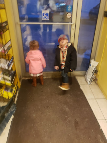 Noodle King & Ice Cream Queen - Hospitality and gastronomy