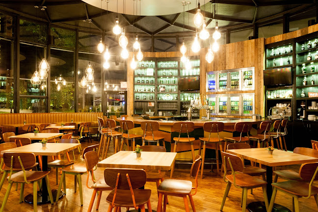 Culaccino Bar & Kitchen