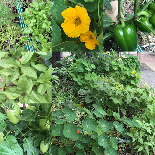 22 O'Meara St, Ottawa, ON K1Y 4N6