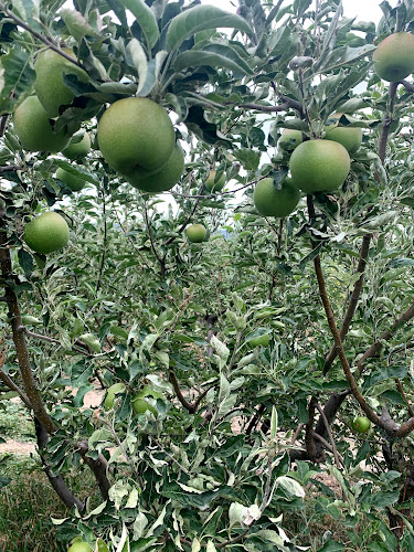 Westbank Corner Fruit Stall - Hospitality and gastronomy