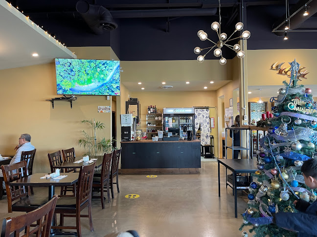 Opinii despre Kamome Japanese restaurant în Delta - Hospitality and gastronomy