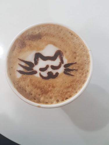 Comentarii opinii despre Cat Cafe on Whyte