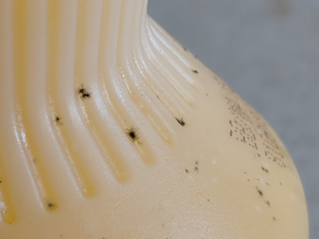 557 Westmorland Rd, Saint John, NB E2J 2G5, Canada