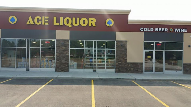 ACE Liquor Discounter Fort Station