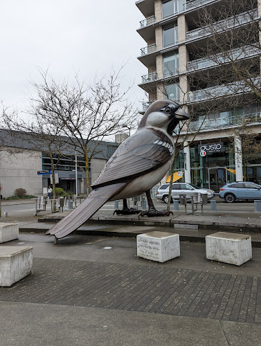 Tap & Barrel • Olympic Village - Hospitality and gastronomy