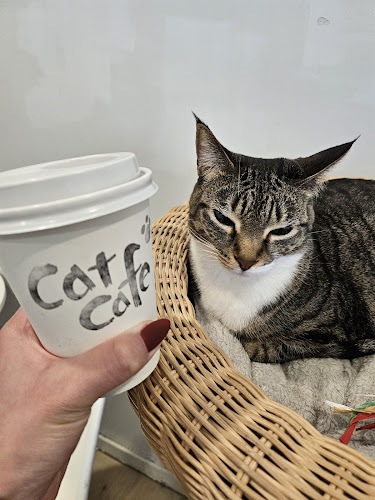 Comentarii opinii despre Cat Cafe on Whyte
