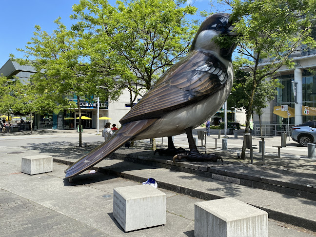 Tap & Barrel • Olympic Village