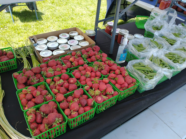 1706 Harmony Rd, Corbyville, ON K0K 1V0