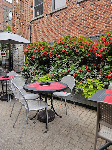 Black Dog Tavern - Kingston