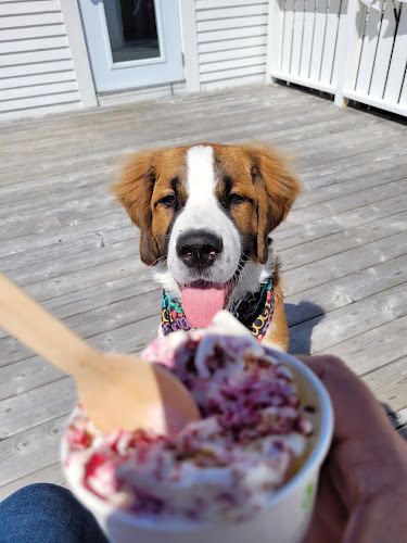 Growlers Ice Cream Shop - Joe Batt's Arm