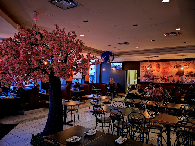 Madoi Sushi Restaurant - Hospitality and gastronomy