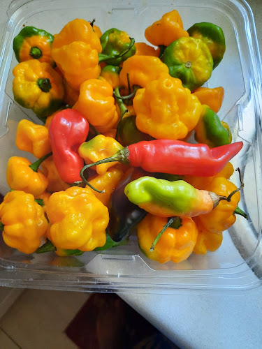 3033 Palstan Rd, Mississauga, ON L4Y 4E7