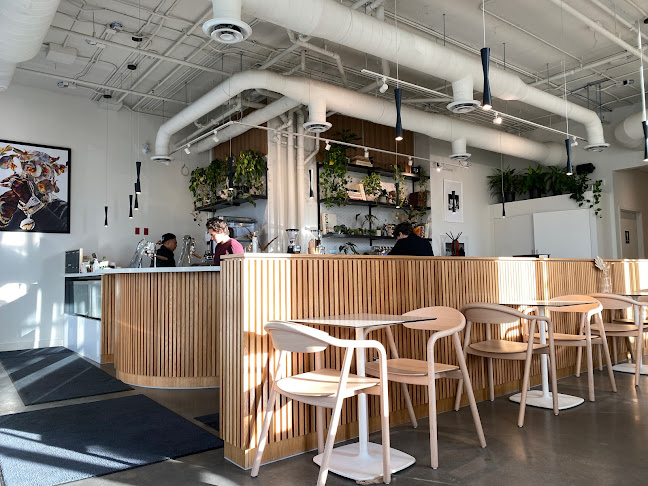 BODEGA - Hospitality and gastronomy