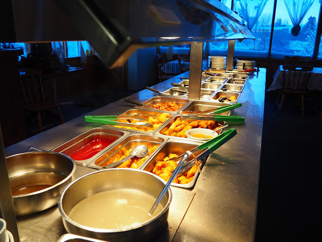 Opinii despre Twin Dragon Restaurant în Owen Sound - Hospitality and gastronomy