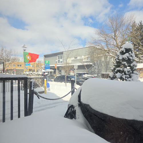 Vereda Central Coffee Roasters - Hospitality and gastronomy