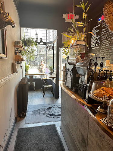 The Wired Owl Coffee Company - Barrie