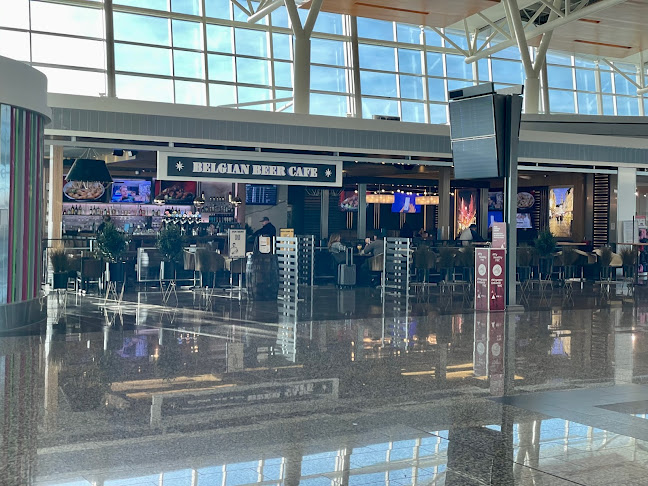 Belgian Beer Cafe - Hospitality and gastronomy